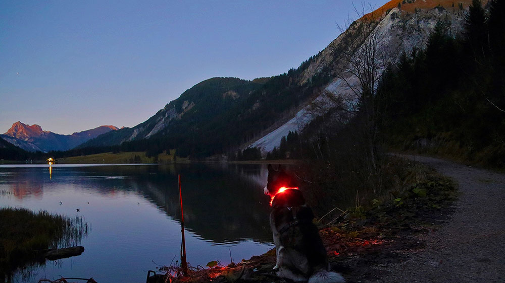 Kvällstämning på bergsjön med lysande halsband Leuchtie