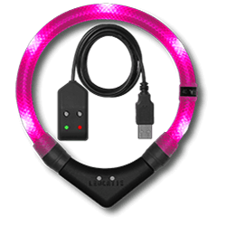 lysande halsband LEUCHTIE Easy Charge